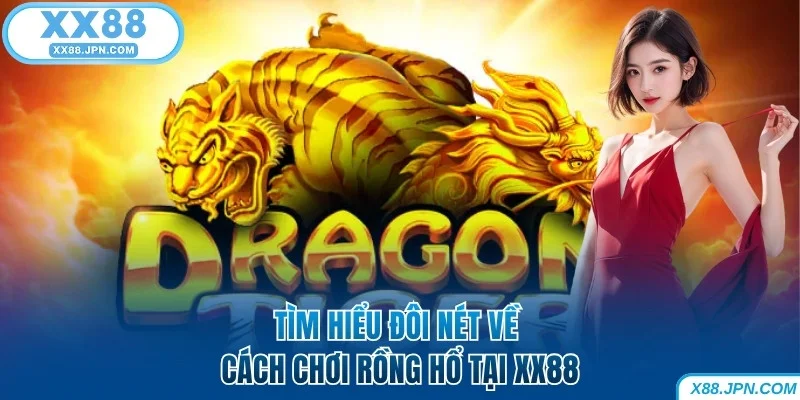 Tìm hiểu đôi nét về cách chơi Rồng Hổ XX88